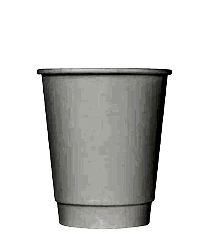 12 Oz Double Layer Paper Cup